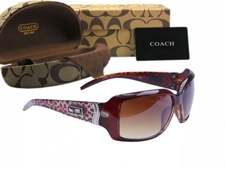 Coach Sunglasses 8011 | Women